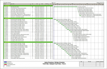 Gantt Chart Not Showing Print Preview Primavera